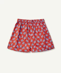 Turtle Print Boxers - Red